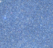 Innovations News-05-2025 Crystal Sheet Malibu Blue