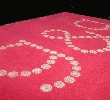 Roter Promi-Teppich Artikel 57000 Crystal Fabric Applikation nach Vorlage des Kunden